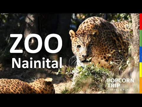 Nainital Zoo