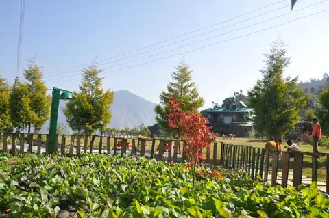 Emerald Trail garden, Jungaliagaon — photograph, 2019